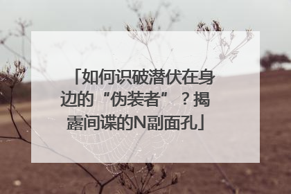 如何识破潜伏在身边的“伪装者”？揭露间谍的N副面孔