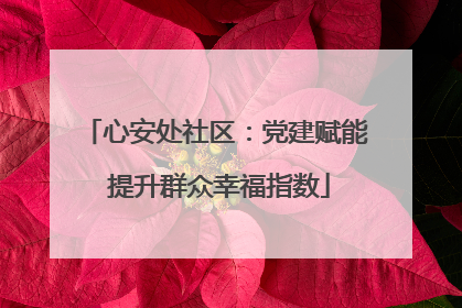 心安处社区：党建赋能 提升群众幸福指数