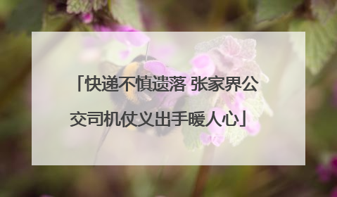 快递不慎遗落 张家界公交司机仗义出手暖人心
