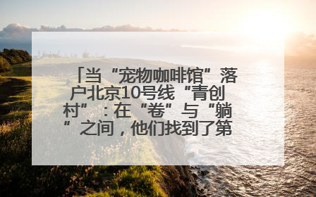 当“宠物咖啡馆”落户北京10号线“青创村”：在“卷”与“躺”之间，他们找到了第三种生活公式
