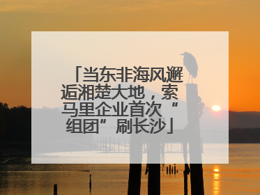 当东非海风邂逅湘楚大地，索马里企业首次“组团”刷长沙