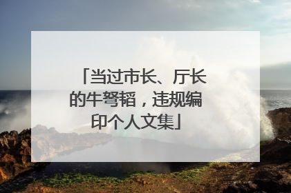 当过市长、厅长的牛弩韬，违规编印个人文集
