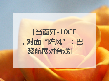 当面歼-10CE，对面“阵风”：巴黎航展对台戏