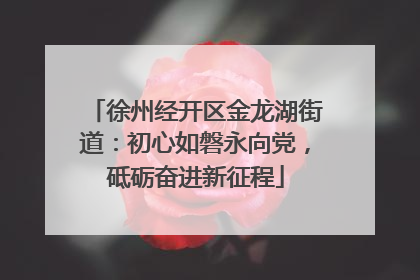 徐州经开区金龙湖街道：初心如磐永向党，砥砺奋进新征程