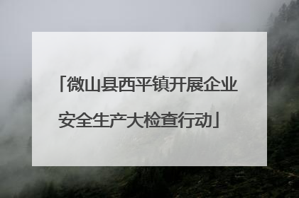 微山县西平镇开展企业安全生产大检查行动