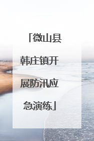 微山县韩庄镇开展防汛应急演练