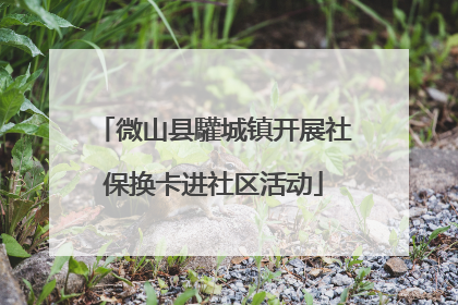 微山县驩城镇开展社保换卡进社区活动