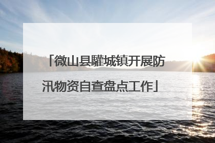 微山县驩城镇开展防汛物资自查盘点工作