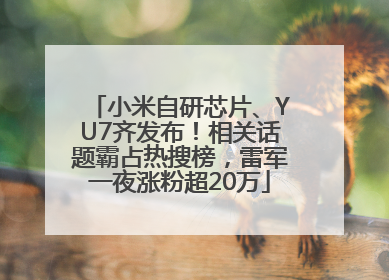 小米自研芯片、YU7齐发布！相关话题霸占热搜榜，雷军一夜涨粉超20万