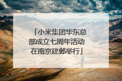 小米集团华东总部成立七周年活动在南京建邺举行