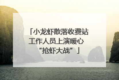 小龙虾散落收费站 工作人员上演暖心“抢虾大战”