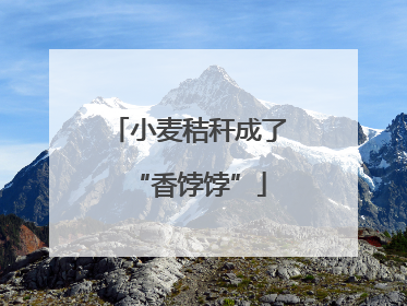 小麦秸秆成了“香饽饽”