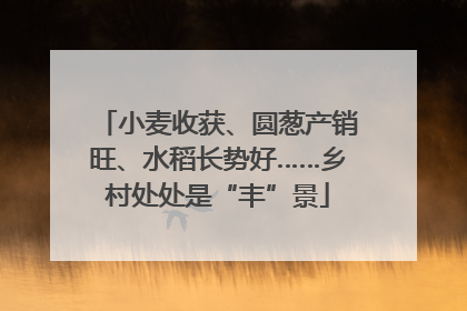 小麦收获、圆葱产销旺、水稻长势好……乡村处处是“丰”景