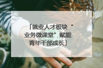 就业人才板块“业务微课堂”赋能青年干部成长