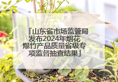 山东省市场监管局发布2024年烟花爆竹产品质量省级专项监督抽查结果