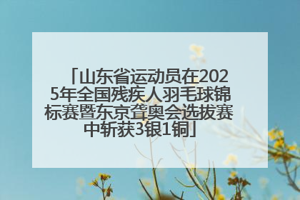 山东省运动员在2025年全国残疾人羽毛球锦标赛暨东京聋奥会选拔赛中斩获3银1铜