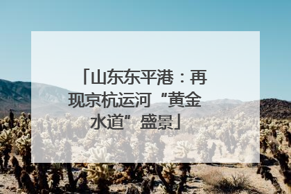 山东东平港：再现京杭运河“黄金水道”盛景