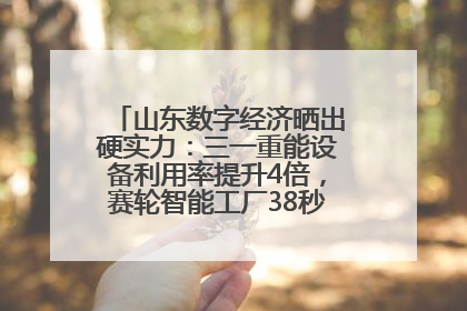 山东数字经济晒出硬实力：三一重能设备利用率提升4倍，赛轮智能工厂38秒生产一条轮胎