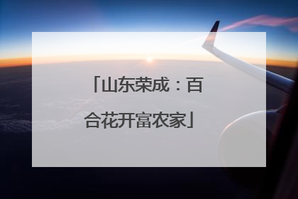 山东荣成：百合花开富农家