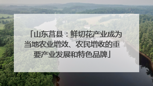 山东莒县：鲜切花产业成为当地农业增效、农民增收的重要产业发展和特色品牌