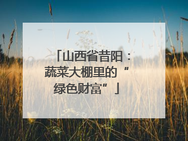 山西省昔阳：蔬菜大棚里的“绿色财富”