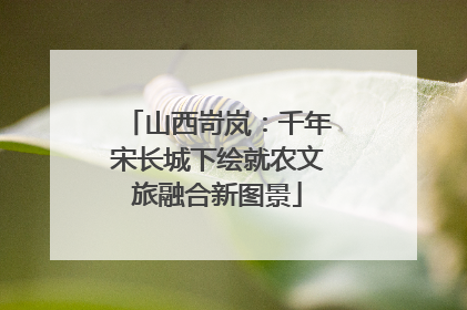 山西岢岚：千年宋长城下绘就农文旅融合新图景