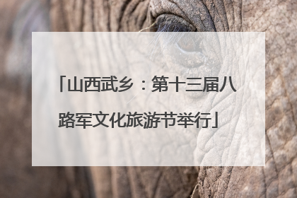 山西武乡：第十三届八路军文化旅游节举行