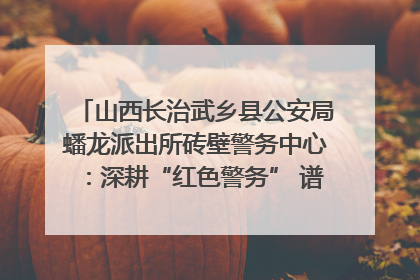 山西长治武乡县公安局蟠龙派出所砖壁警务中心：深耕“红色警务” 谱写“平安答卷”