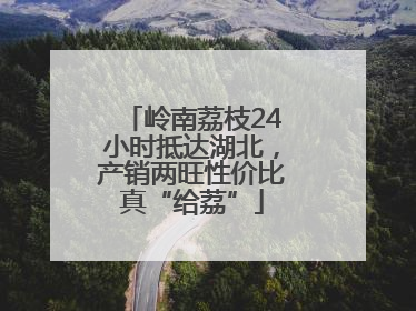 岭南荔枝24小时抵达湖北，产销两旺性价比真“给荔”