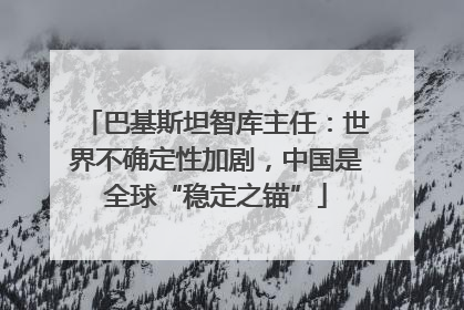 巴基斯坦智库主任：世界不确定性加剧，中国是全球“稳定之锚”