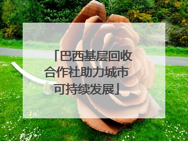 巴西基层回收合作社助力城市可持续发展