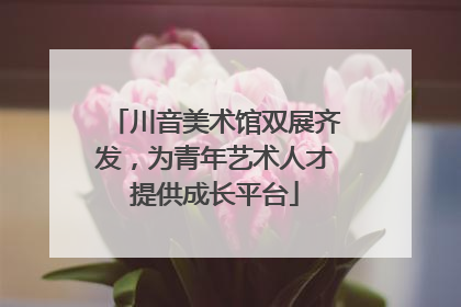 川音美术馆双展齐发，为青年艺术人才提供成长平台