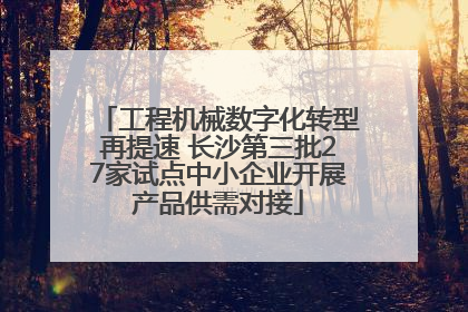 工程机械数字化转型再提速 长沙第三批27家试点中小企业开展产品供需对接
