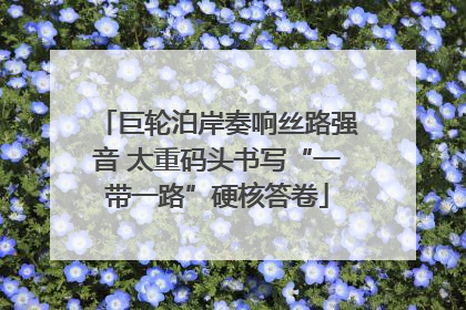 巨轮泊岸奏响丝路强音 太重码头书写“一带一路”硬核答卷