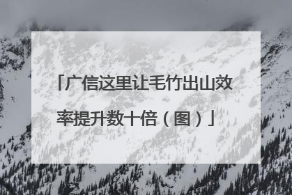 广信这里让毛竹出山效率提升数十倍（图）