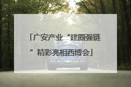 广安产业“建圈强链”精彩亮相西博会