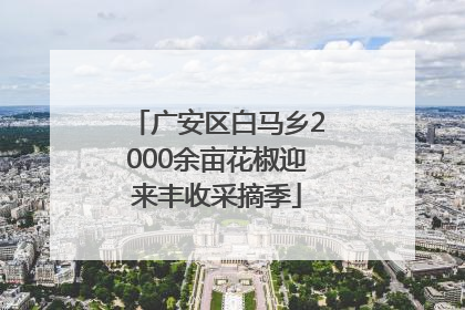 广安区白马乡2000余亩花椒迎来丰收采摘季