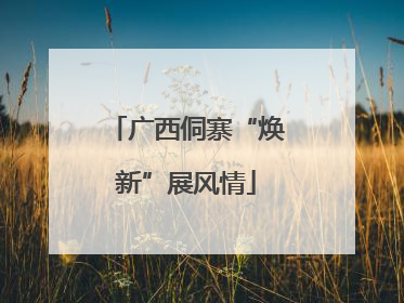 广西侗寨“焕新”展风情