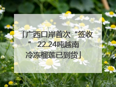 广西口岸首次“签收” 22.24吨越南冷冻榴莲已到货