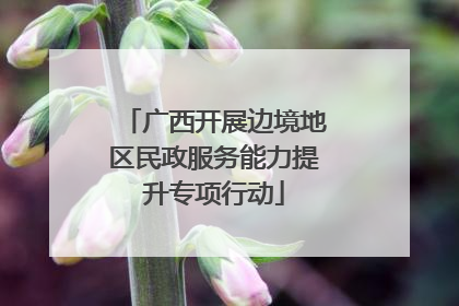 广西开展边境地区民政服务能力提升专项行动