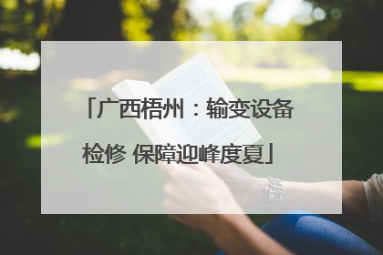 广西梧州：输变设备检修 保障迎峰度夏
