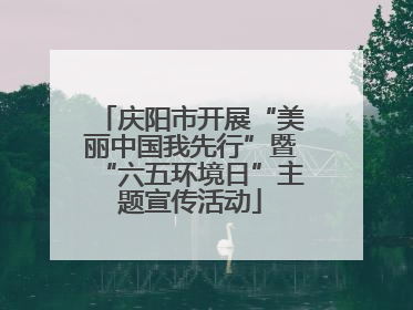 庆阳市开展“美丽中国我先行”暨“六五环境日”主题宣传活动