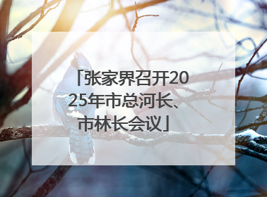 张家界召开2025年市总河长、市林长会议