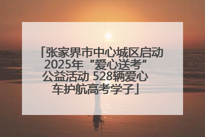 张家界市中心城区启动2025年“爱心送考”公益活动 528辆爱心车护航高考学子