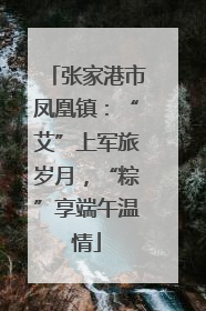 张家港市凤凰镇：“艾”上军旅岁月，“粽”享端午温情