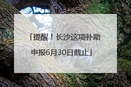 提醒！长沙这项补助申报6月30日截止