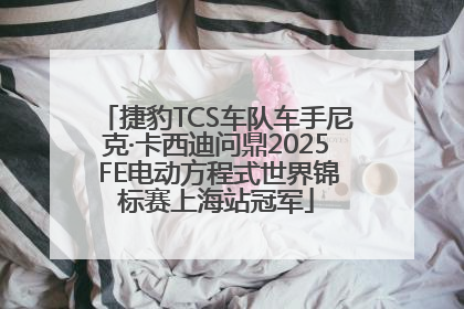捷豹TCS车队车手尼克·卡西迪问鼎2025 FE电动方程式世界锦标赛上海站冠军