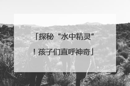 探秘“水中精灵”！孩子们直呼神奇
