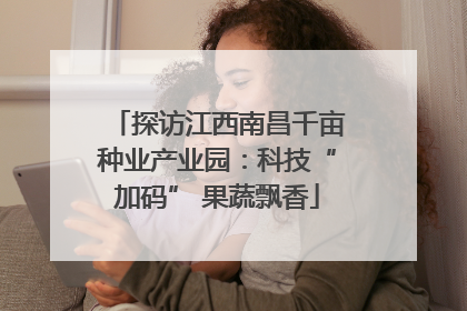 探访江西南昌千亩种业产业园：科技“加码” 果蔬飘香