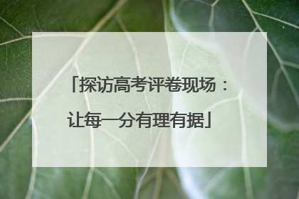 探访高考评卷现场：让每一分有理有据
